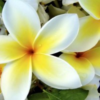 ВЕСЬ МАРТ ПОДЪЕМ НА ЭТАЖ И СБОРКА В ПОДАРОК! - "Лабиринт" - интернет-магазин мебели для дома в Екатеринбурге, Первоуральске и Ревде